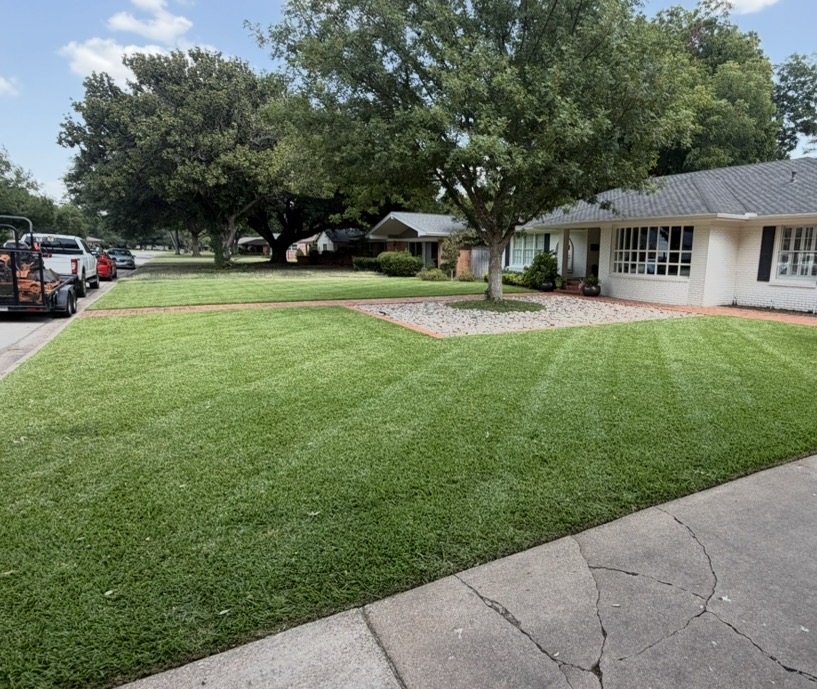 Lawn Maintenance section-1cbb772c
