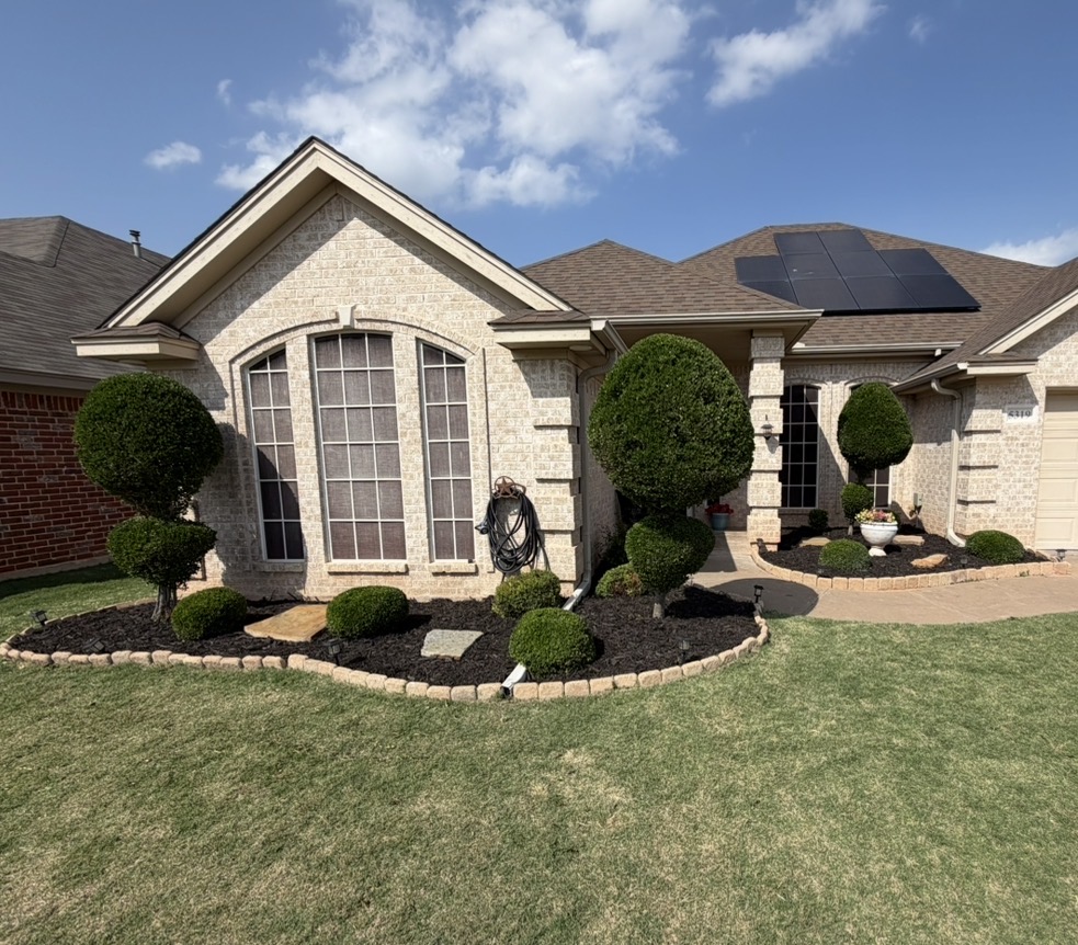 Home Section 5c016273