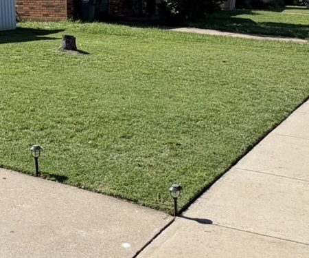 Lawn Maintenance screenshot